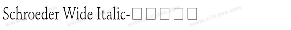 Schroeder Wide Italic字体转换